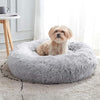 Köpguide för Hundbäddar: Hitta den Perfekta Sängen för Din Hund